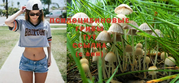 прущая мука Кинешма
