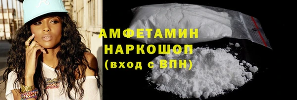 прущие грибы Карталы