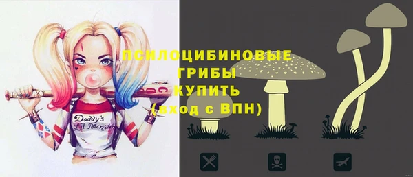 прущая мука Касимов