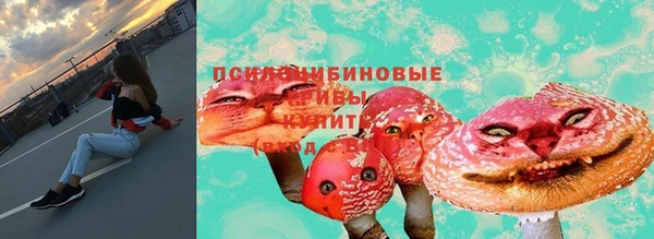 прущая мука Кинешма