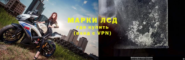 прущие грибы Карталы